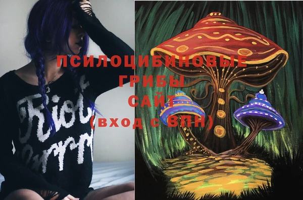 шишки Дмитровск