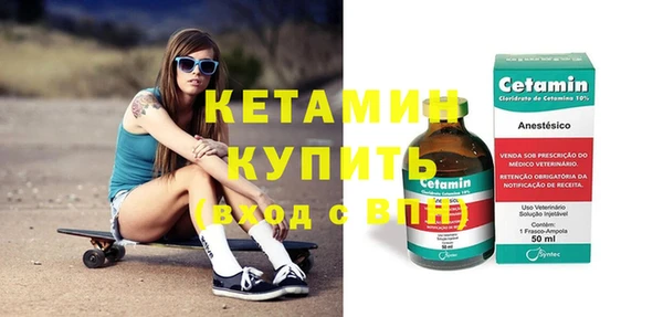 шишки Дмитриев