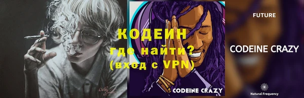 шишки Дмитровск