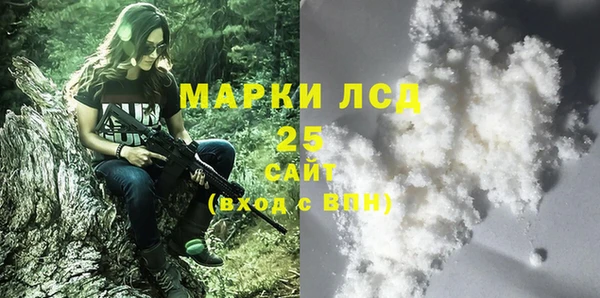 шишки Дмитриев