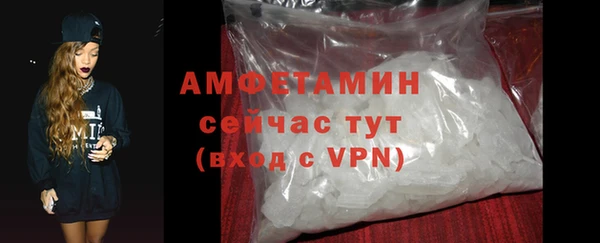 шишки Дмитриев