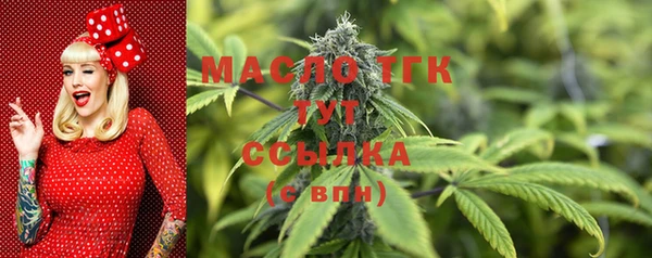 шишки Дмитровск