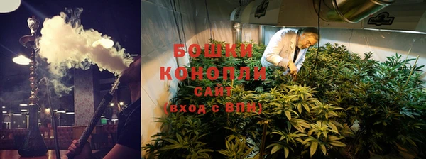 шишки Дмитриев