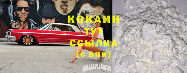 шишки Дмитриев