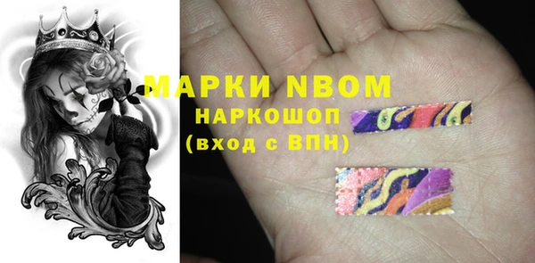 шишки Дмитровск