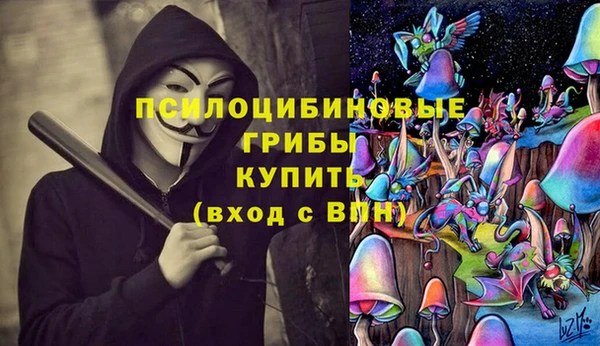 шишки Дмитровск