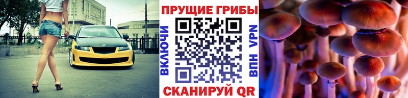 Псилоцибиновые грибы MAGIC MUSHROOMS  Волгодонск 